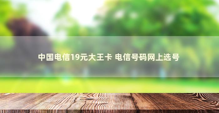 中国电信19元大王卡 电信号码网上选号